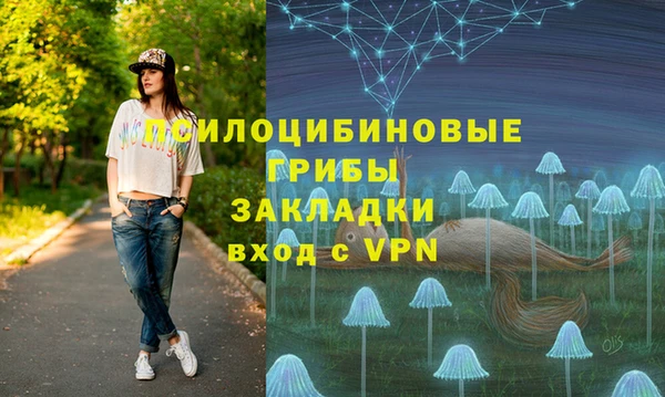 МДМА Белокуриха